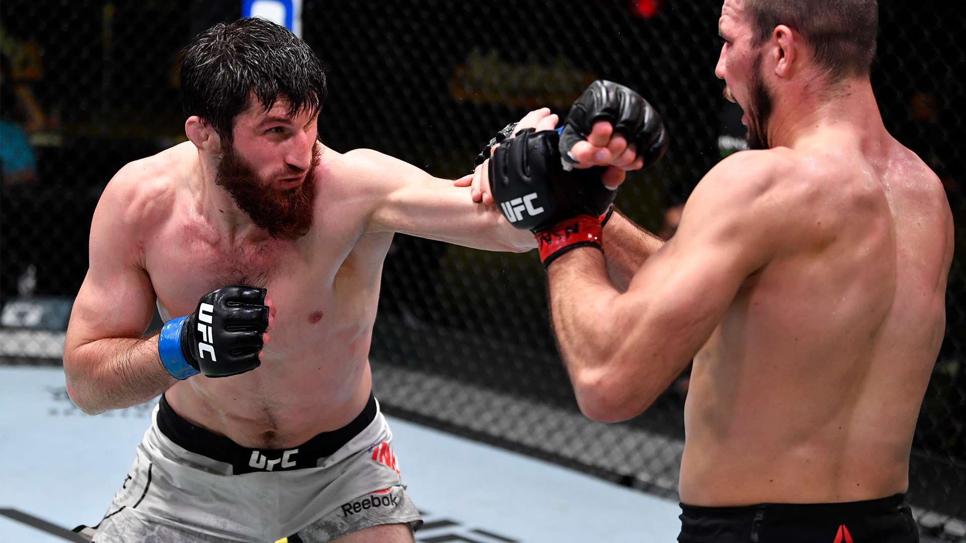 不同文化背 不同文化背