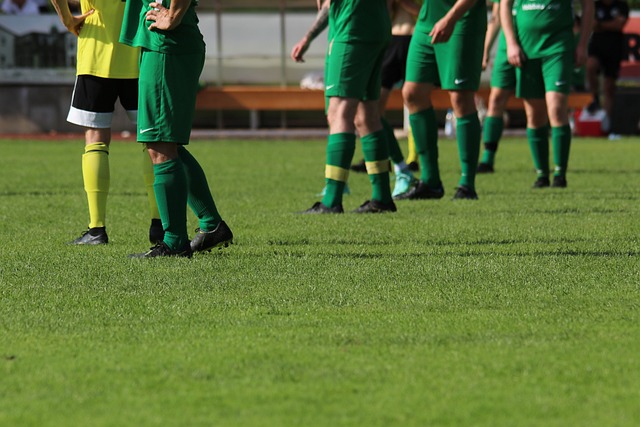 社交媒体的 社交媒体的