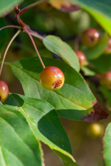 這樣的慘劇 這樣的慘劇